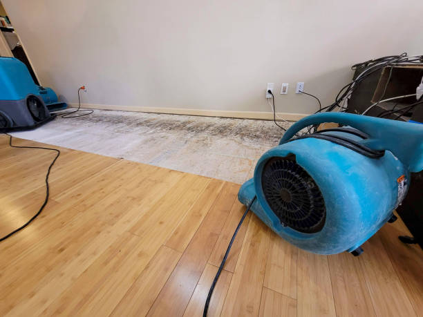 Professional Water Damage Repair technician working in Effingham, IL
